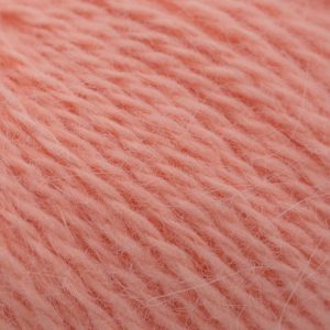 Pamplemousse