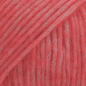 25 raspberry