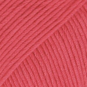 13 raspberry